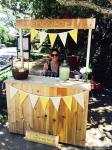 Sarah Michelle Gellar Sells Lemonade to 'Earn a Living'