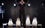 Pitbull Parties With 'Penguins of Madagascar' in 'Celebrate' Music Video
