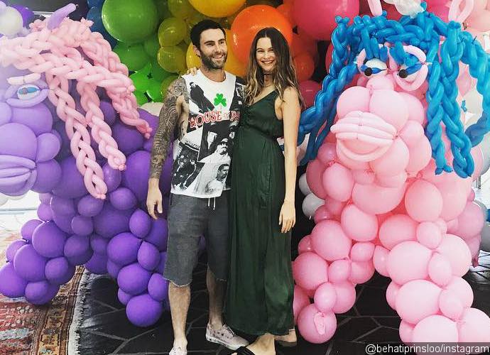 Adam Levine Reveals Gender of Baby No. 2 - Is It a Boy or a Girl?