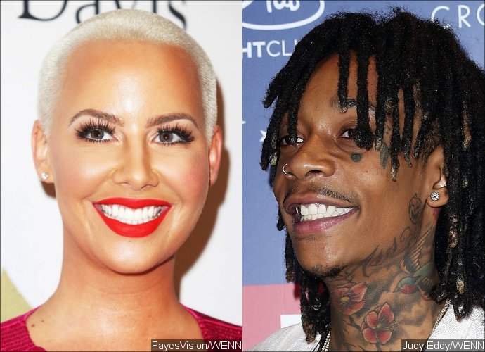 Amber Rose Is Sued for Defamation by Wiz Khalifa's Mother