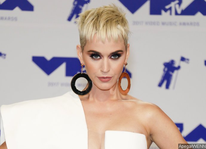'American Idol' Bosses Fear Katy Perry Will Be 'Total Dud' After Bad-Hosting at VMAs