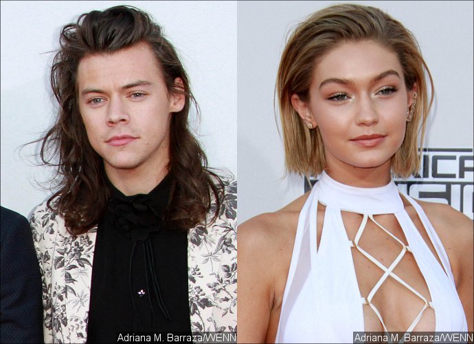 American Music Awards 2015: Harry Styles Rolls His Eyes at Taylor Swift's BFF Gigi Hadid