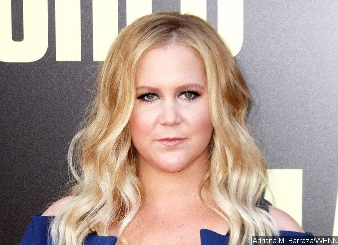 New Boyfriend? Amy Schumer Steps Out With Mystery Man After Split From Ben Hanisch