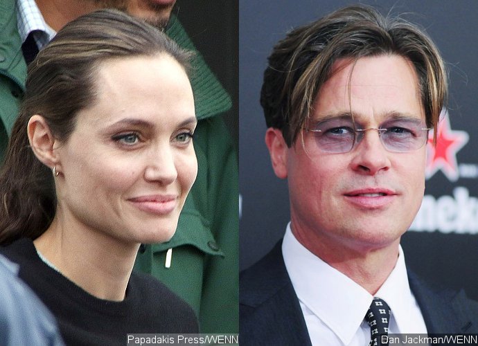 Angelina Jolie and Brad Pitt Reach Custody Agreement? Not So Fast!