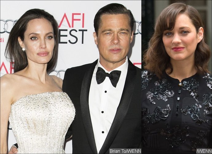 Angelina Jolie Worries Brad Pitt Will Leave Her for Marion Cotillard