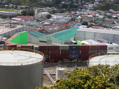Pictures from James Cameron's Avatar Wellington Set