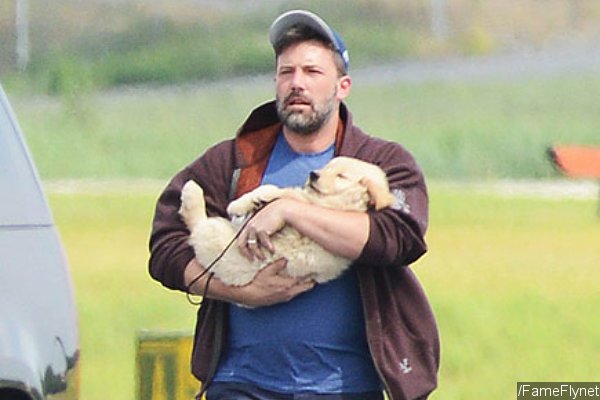 Ben Affleck Carries His Cute 'Family Dog' as He Arrives in Atlanta to Rejoin His Family
