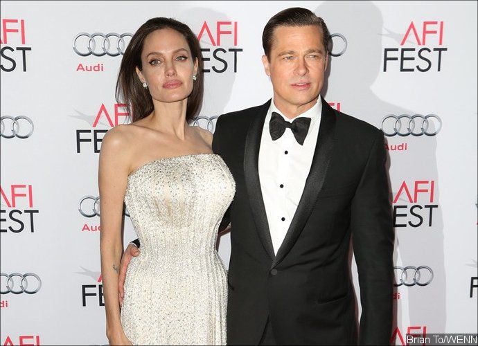 Brad Pitt Reportedly Worries About 'Anorexic' and 'Fragile' Angelina Jolie