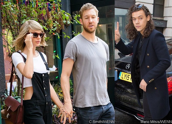 Calvin Harris Reportedly Fears Taylor Swift May Still Have Feelings for Harry Styles