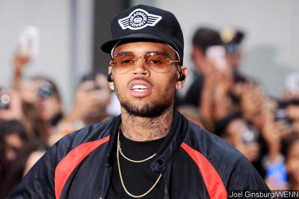 Chris Brown and Baby Mama Nia Guzman Fight Over Child Support