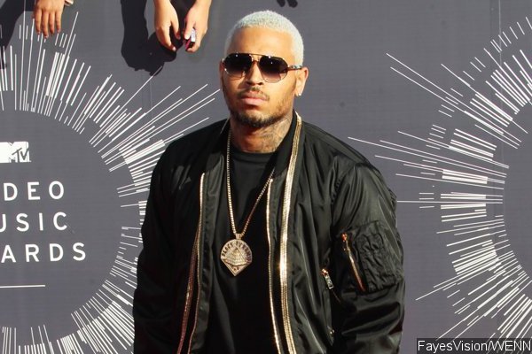 Chris Brown's Car Searched for Gun by Police