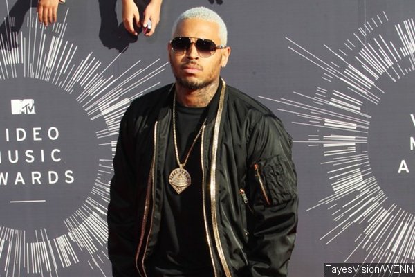 Chris Brown's Intruder Charged With 3 Felonies