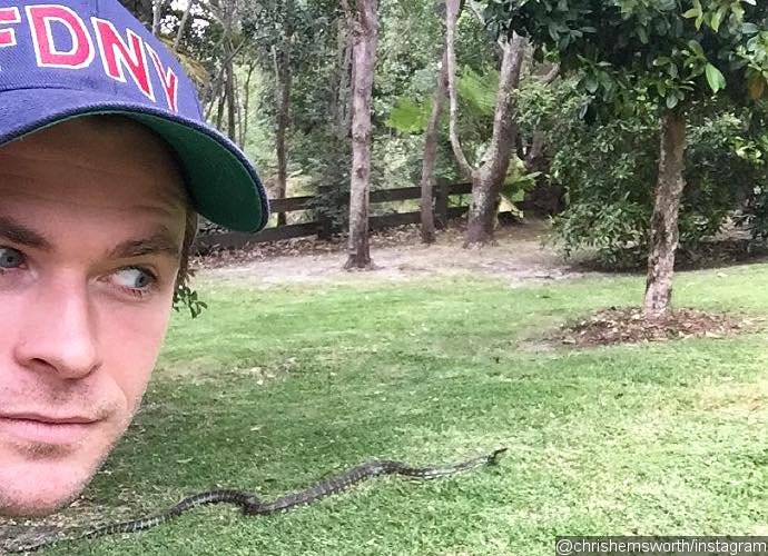 Chris Hemsworth Poses With Crawling Snake for His First Instagram Post