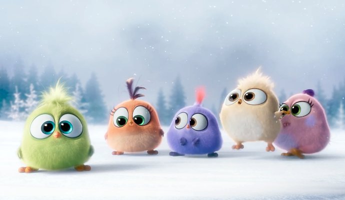 See Some Cute Hatchlings In Angry Birds New Video