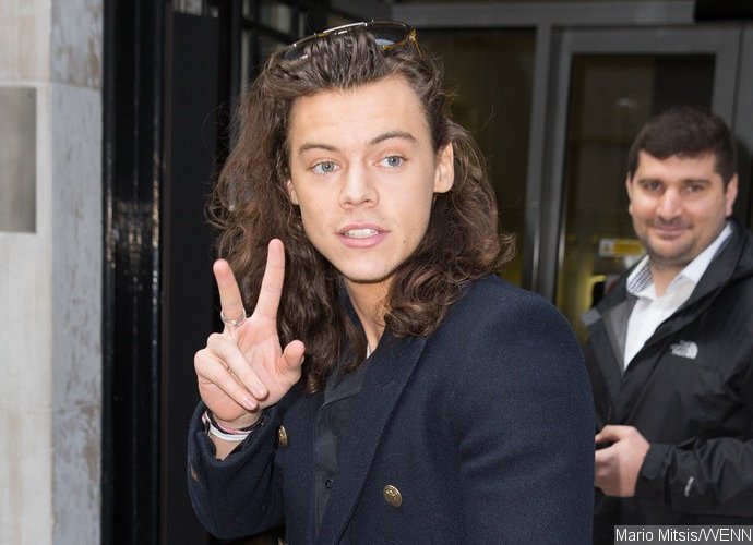 Find Out When Harry Styles' Solo Album Will Come!