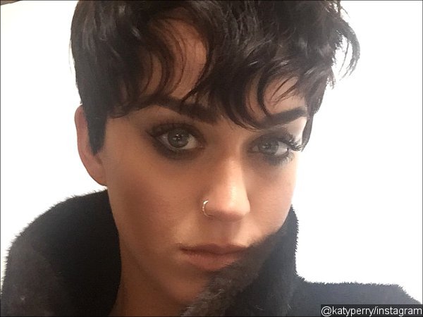 Katy Perry Debuts Pixie Hair Do Inspired by Kris Jenner