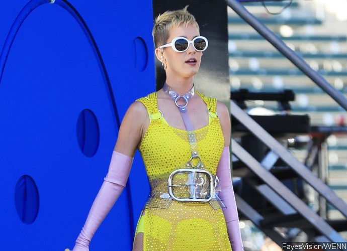 Katy Perry Wants to Celebrate Her $25M 'American Idol' Paycheck With a 'Beautiful Man'