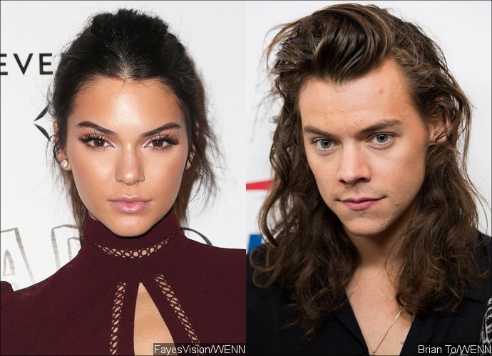 Kendall Jenner's Family Worries About Her New Romance With Harry Styles