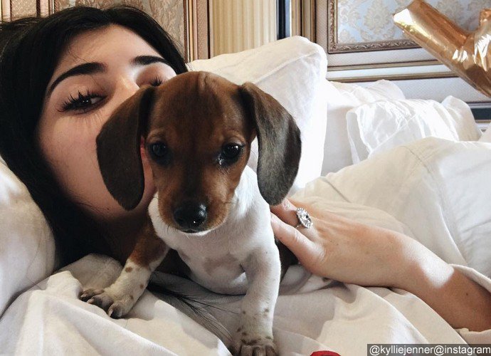 Kylie Jenner Introduces New Puppy and Birthday Collection Cosmetics