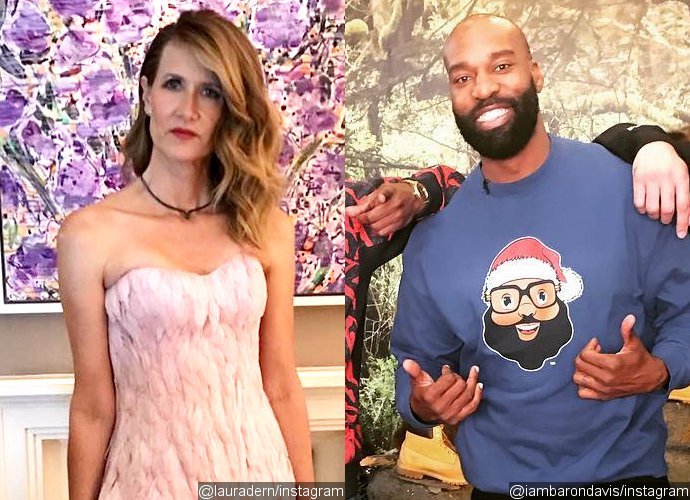 Laura Dern steps out with pal after 'kissing' Baron Davis