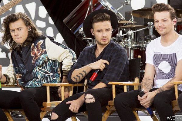 Liam Payne Defends His Comments on 'Nuts' Harry Styles and Louis Tomlinson Coupling Rumors