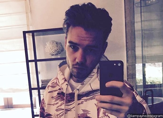 Liam Payne Grabs Crotch in Bathroom Selfie