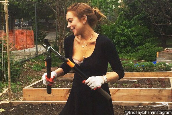 Lindsay Lohan Accelerates Community Service Completion by Gardening
