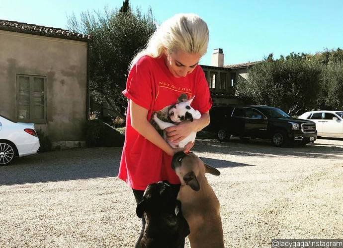 Meet New Addition to Lady GaGa's Family!