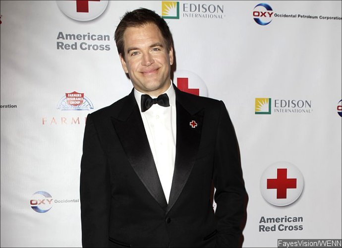 Michael Weatherly Charged With DUI After Speeding in Hollywood
