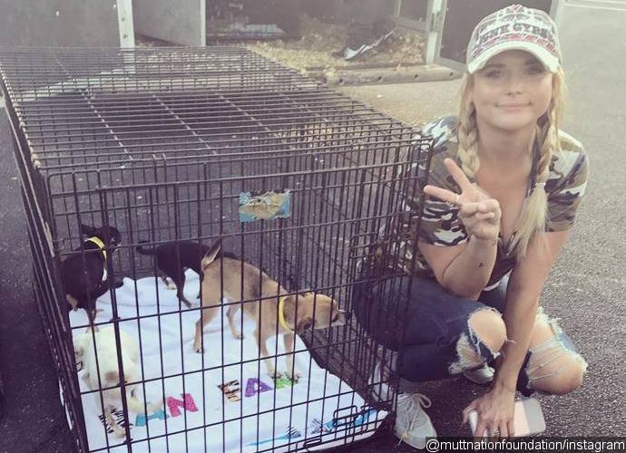 Miranda Lambert Helps Save Hundreds of Dogs After Hurricane Harvey