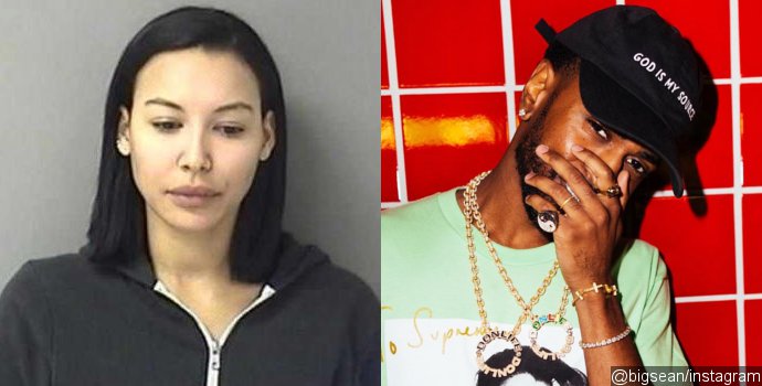 Naya Rivera's Arrested for Domestic Battery, Big Sean Appears to Throw Shade