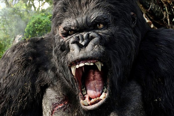 king kong free movie 2017 king kong free movie 2017