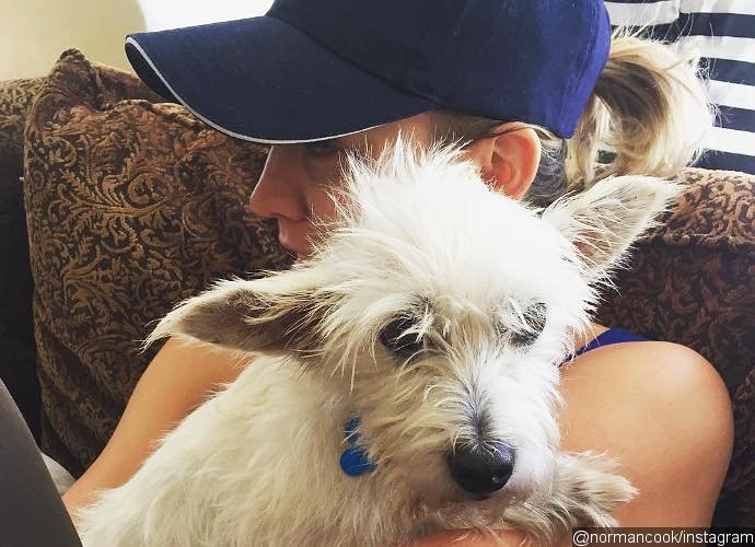 Newly Single Kaley Cuoco Adopts New Puppy, Chester