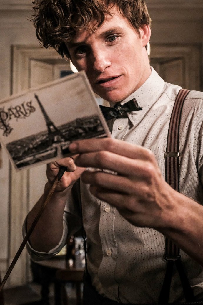 'Fantastic Beasts 2' New Photo: Newt Scamander Will Embark on a