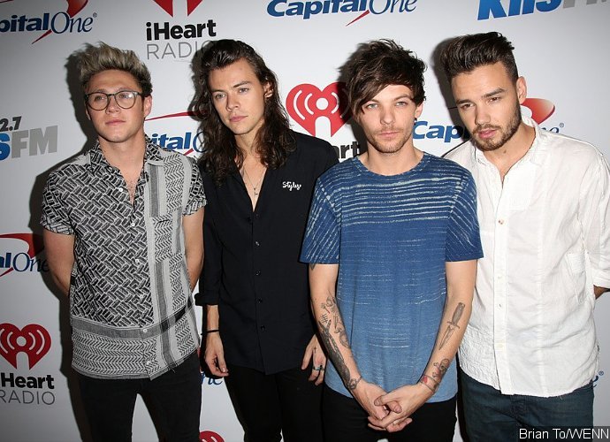 Niall Horan Assures Fans That One Direction Will Regroup
