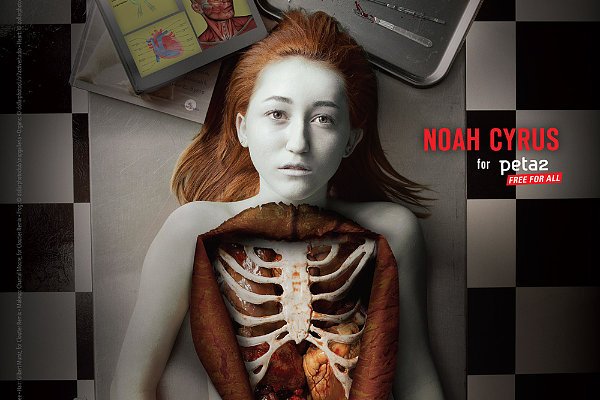 Noah Cyrus Featured in Graphic PETA's Campaign Against Animal Dissection