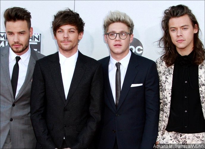 Yay! One Direction Announces Next Official 'MITAM' Single