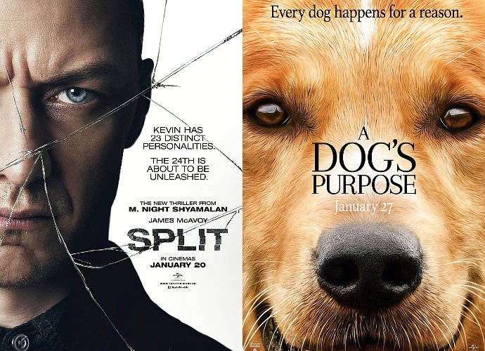 'Split' Tops Box Office Again, 'A Dog's Purpose' Has Solid Debut Against All Odds