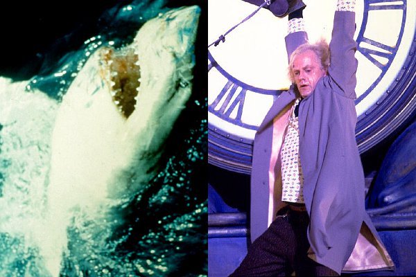 'Jaws' and 'Back to the Future' Reboots Are Not Likely to Happen