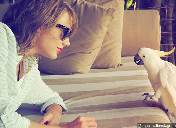 Taylor Swift Takes Entire '1989' Tour Crew on Vacation in Hamilton Island