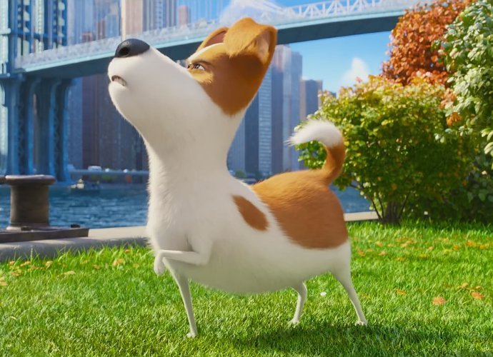 'The Secret Life of Pets' Trailer Reveals What Pets Do When You Leave Them