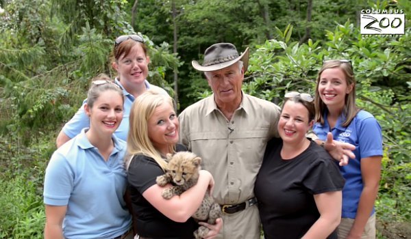 Zoo Workers Hilariously Recreate Taylor Swift's 'Wildest Dreams' Music Video