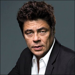 Benicio Del Toro Profile Photo