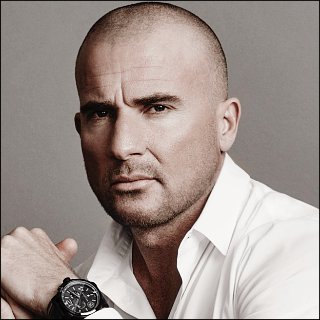 Dominic Purcell Profile Photo