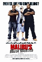 Malibu's Most Wanted (2003) Profile Photo