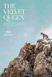 Velvet Queen, The