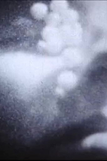 Flamethrowers, The