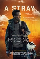 Stray, A