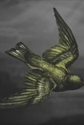 Canary