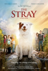Stray, The